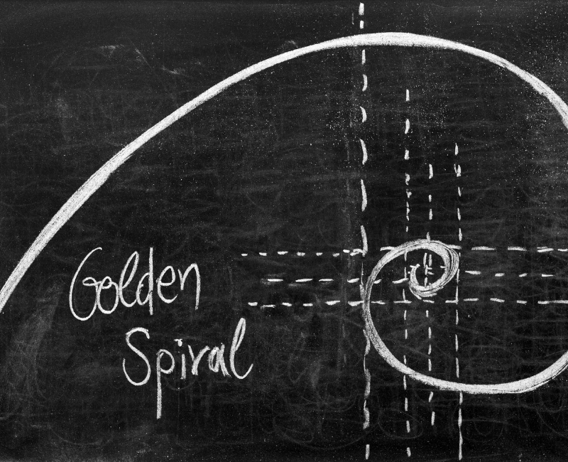 The Fibonacci Fingerprint Finding the Golden Ratio in the Fundamentals of Design